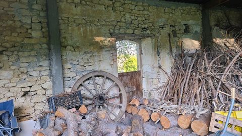 photo no. 11