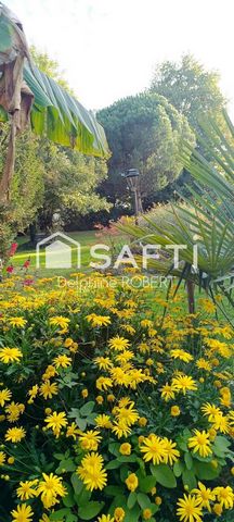 photo no. 10