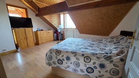 photo no. 14
