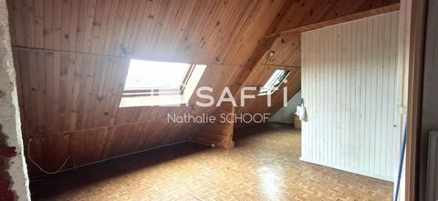 photo no. 11
