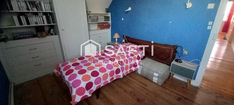 photo no. 10
