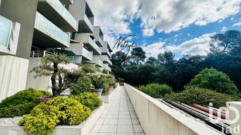 iad France - Nathalie Jouet vous propose: Retour exceptionnel – T3 de 66 m² avec terrasse 18 m² et vue parc à Juvignac Ce superbe appartement T3 revient exceptionnellement sur le marché. Une chance rare à ne pas manquer ! Idéalement situé au cOEur de...