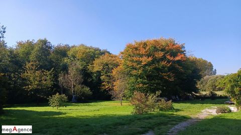 Amoureux de nature, maison dans un cadre bucolique.