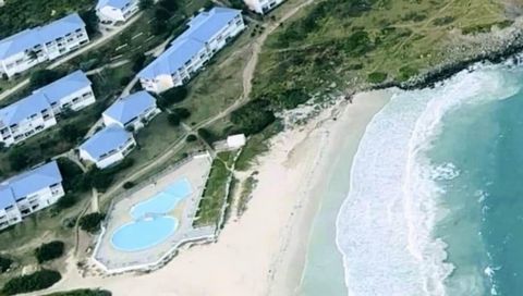 Sous Compromis - Grand Studio Mont Vernon vue jardin tropical