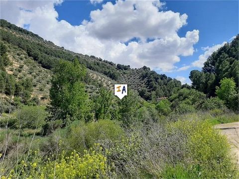 Located close to Montefrio in the province of Granada we have this productive 76,000m2 plot of olives. With 202 olive trees you can get around 10,000 kilos per year of olives. There is no water or electric on the plot but 100 metres away you have a t...