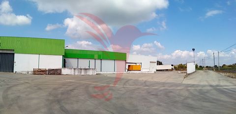 Excellent facilities, aimed at industry, storage, processing of agricultural production. Imovél presents an area of 10.000m2, paved in concrete, properly fenced with recourse to the net and wall in masonry, alarm system. It has a covered area of 2800...