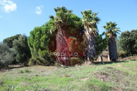 Plot for construction of villa in very quiet village. Land with 695m2 and constructive capacity of 333.60m2. Good sun exposure. In village with cafes, grocery store, bakery and gas station. Good access and daily public transport service. This land is...
