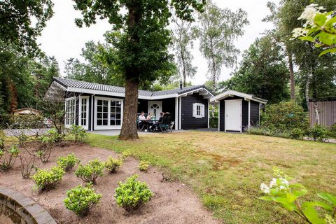 Lunteren, in the Gelderland, is the geographical center of the Netherlands. Surrounded by woods, moors and sand drifts, Lunteren is an ideal destination for lovers of tranquility, space and nature. Discover the authenticity of the Veluwe, with its sm...