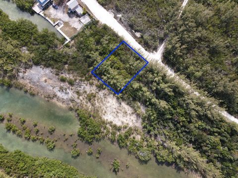 Lot 26 Teal Duck Lake, es un hermoso lote boscoso ubicado en Harbour Drive, en Whale Point, un desarrollo establecido en North Eleuthera. Esta propiedad ofrece 7,500 pies cuadrados de monte bajo nativo de las Bahamas en una entrada de agua de la isla...