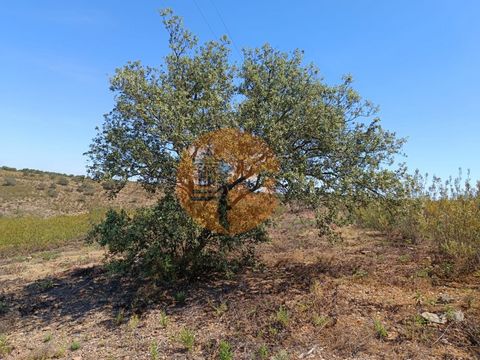 Rustic land with 19,280 m2, in Alcaria, Odeleite, Castro Marim - Algarve. Land with some trees. Near water and electricity. Overlooking the Algarve Mountains. Quiet location. Asphalt access. Excellent opportunity. Flat part for caravan and removable ...