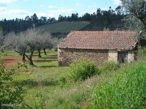 Farm w/ 4,000 m2, granite construction, olive grove, brook in one of the extreme. Very well located, by the tarmac road. Good hits.