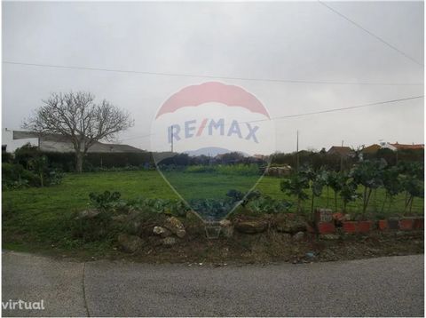 Excellent flat land, rustic and with other agricultural areas. Located between Alcobaça and Porto de Mós with very good access. BOOK YOUR VISIT!