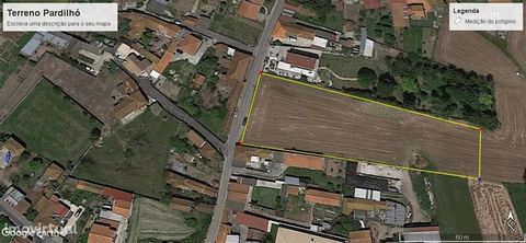 *4290 m² * 42 m front * Constructive viability * Possibility to build semi-detached houses Rustic land with constructive viability for single-family villas, Easy access, About 5 kms from the A29 and A1 and the Center of Estarreja. Rising/west solar o...