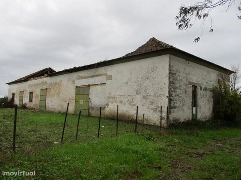 PRIVATE SALE BY TRADE PJ/20/32 - Warehouse in ruins - Total area: 460 m² - Location: Near Vale de Peso Station - Gáfete Dilapidated warehouse located near Vale de Peso Train Station in Gáfete. Confrontations: North, south, east and west with Amelia A...