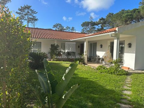 Banzão is a quiet and calm residential area located in Colares, Sintra. The area is known for its proximity to the beaches of the area (Praia das Maças, Praia Grande, Praia de São Julião and more...) and to the Serra de Sintra. It is the ideal place ...