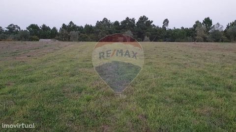   Land with feasibility of construction, located less than 3 km from Pombal, in the area of Assanha da Paz.   This plot of land has a total area of 1100 m2, has a great construction index, is located in a quiet location and with easy access to the A1...