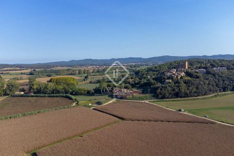 Lucas Fox exclusively presents this house located in one of the most privileged areas of Baix Empordà, at the top of a renowned hill that offers wonderful views of all the cultivated fields that surround it and the Pyrenees in the background. The hou...