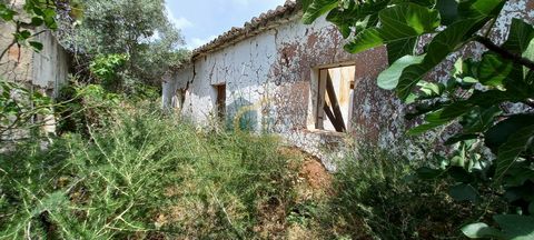 Ruin located within the village of Nora, on an elevated point, with a good view to the south. To rebuild. With 48 useful m2, plus outbuildings, haystack, storage room and pigsties, located on land with an area of 2960 m2, of which 2480 m2 are urban. ...