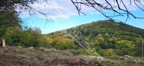 Imoti Tarnovgrad offers you a panoramic plot of land in the village of Vishovgrad. The property has access from two asphalt streets, with electricity, water and a well. The plot is clean and prepared for construction. There are also one hundred and f...