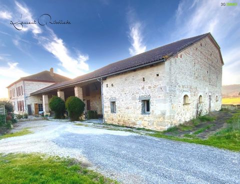 Near Agen, beautiful stone property of the nineteenth century - 8 bedrooms - 260m² + 2 gîtes including a dovecote (325 m² total) on a plot of more than 5 hectares. The house offers on the ground floor a kitchen of 27 m² with functional fireplace for ...