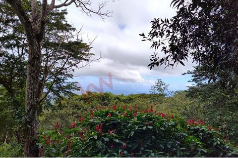 Enjoy living on cool Mombacho with views of Granada and the lake.  This building lot is an amazing opportunity to build your own paradise in the jungle.  With monkeys and colourful birds all around.  One full manzana or 1.7 acres with the choice of w...