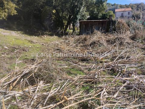We are delighted to present this exceptional project opportunity in the heart of the Alta Rocca. This building plot of 1978 m2, ideally located a few minutes' walk from the centre of the picturesque village of Zonza, offers a southern exposure, guara...