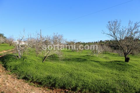 Excellent opportunity in Lagoa. Located just a few minutes from several golf courses, this plot of land with 10,000m2 has very good access, water and electricity nearby and an excellent solar position. Lagoa attracts crowds for its captivating beache...