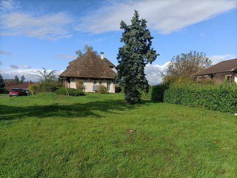 photo no. 13