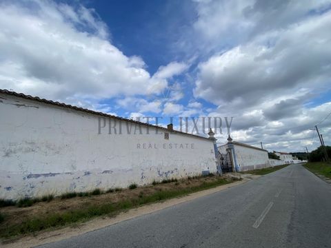 Imagine a renowned farm, in the heart of Alentejo, where the ancestral spirit and absolute tranquillity invite you to dream big. This unique property, located on the outskirts of charming Vidigueira, offers the perfect setting for large tourist proje...