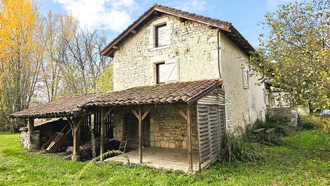 photo no. 10