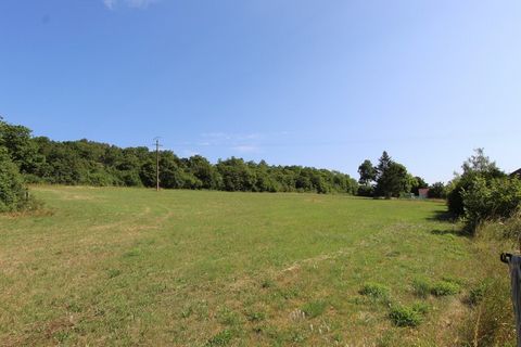 photo no. 2