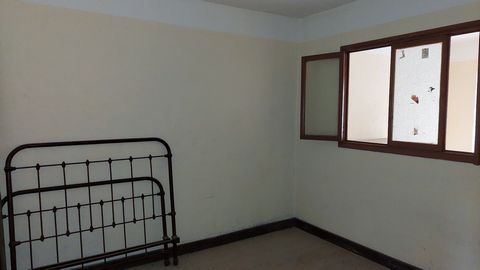 photo no. 5