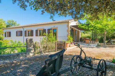 The diversity of greenery around the exterior area of this beautiful house, transforms all corners into the perfect places to relax and enjoy the atmosphere and the views over nature while swimming in the pool or sunbathing on any of the 6 sun lounge...