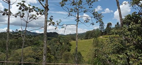 En un hermoso proyecto de parcelación en El Retiro, se encuentra este lote de 2.247 mts 2 con vista al bosque y que hace parte de los 60 lotes que conforman la unidad ubicada en medio de un maravilloso entorno natural de montañas y más de 45.000 mts2...