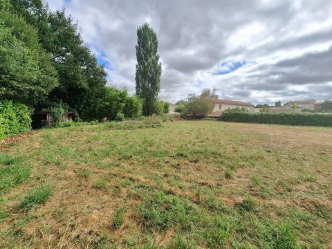 photo no. 2