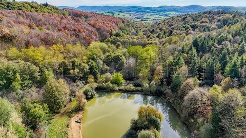 ARIEGE PROPRIETE FORESTIERE 54 HA Au cœur du Pays du Comminges, nous vous invitons à découvrir une propriété de 54 hectares avec sa forêt sublime. En pleine nature, sur une zone non boisée de 2 hectares, le bâti représente une maison principale en pi...