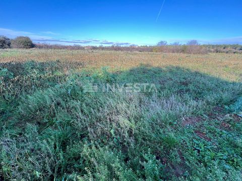 Commerciële-agrarische grond in Pomer Te koop: een perceel van 3778 m², dat mogelijkheden biedt voor zakelijke of agrarische ondernemingen. Het perceel ligt vlakbij het dorp Pomer en is verdeeld in twee delen: de ene helft (1889 m²) is bestemd voor c...