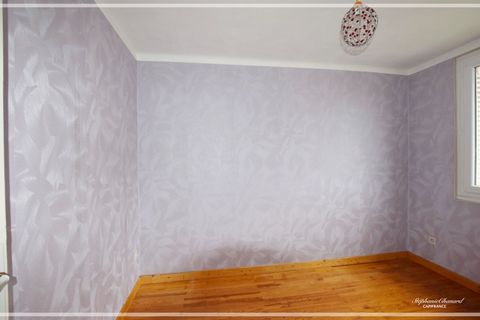 photo no. 2