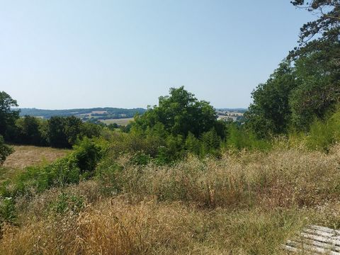 photo no. 2