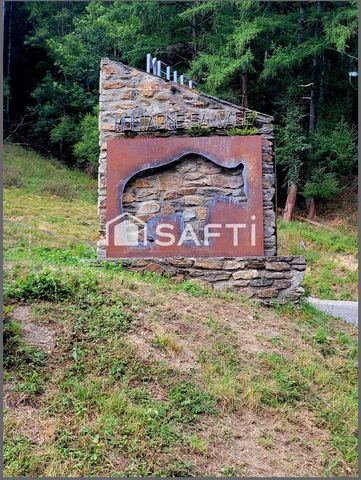 photo no. 13