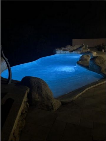 photo no. 17
