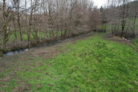 photo no. 5