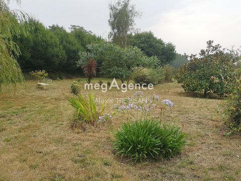 photo no. 12