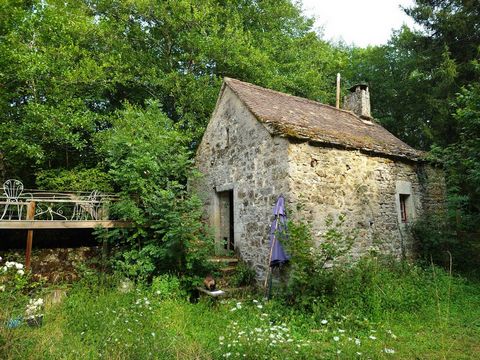 photo no. 10