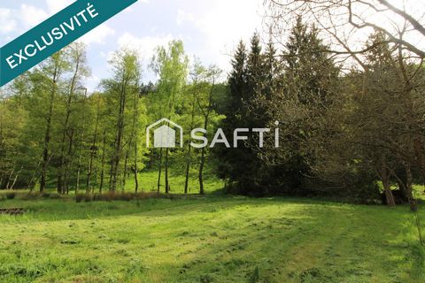 Terrain idéalement placé en bord de forêt