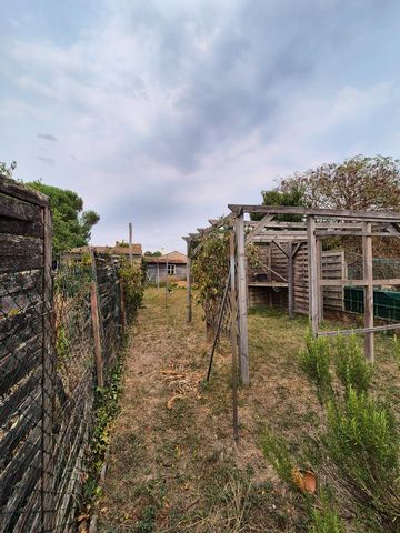 photo no. 10