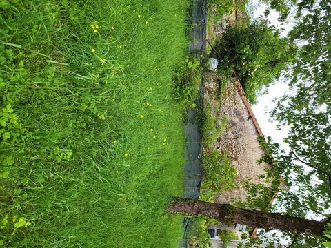 photo no. 15
