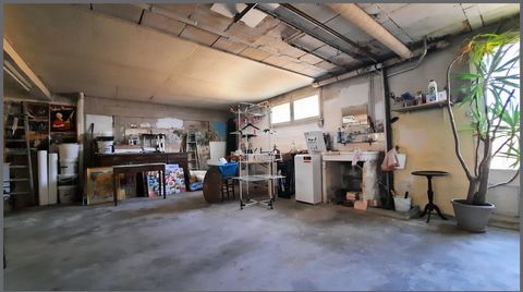 photo no. 6