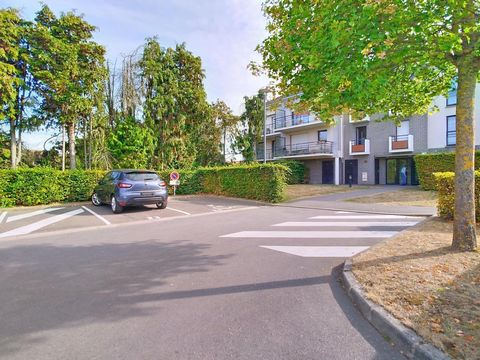 photo no. 11
