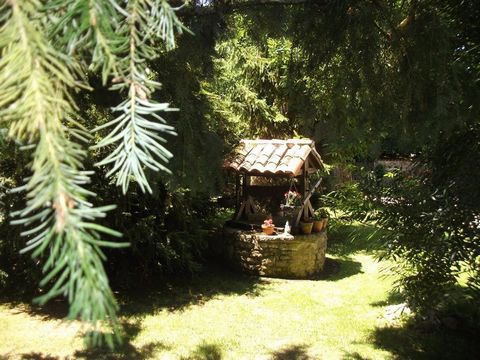 photo no. 15